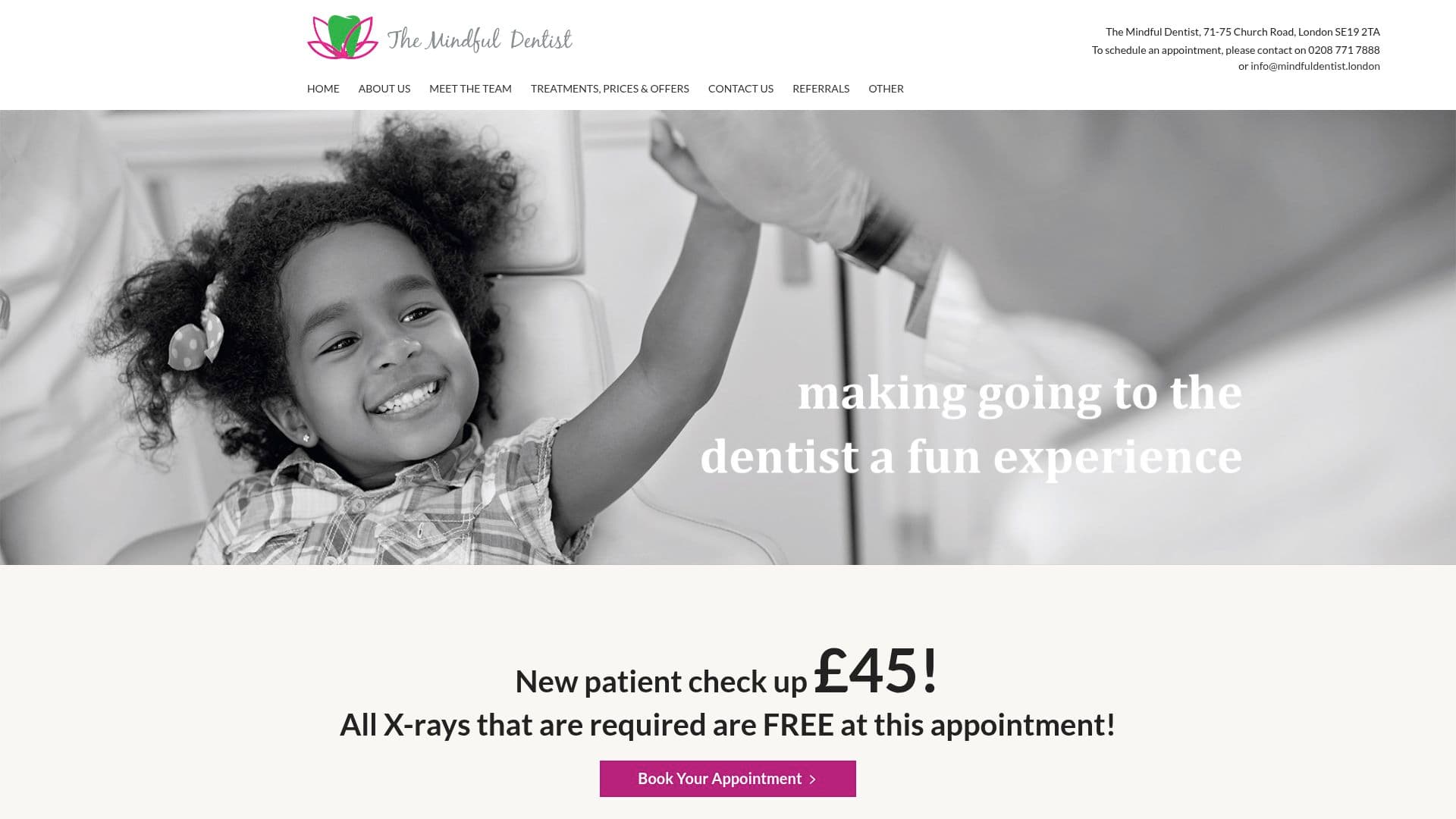 The Mindful Dentist